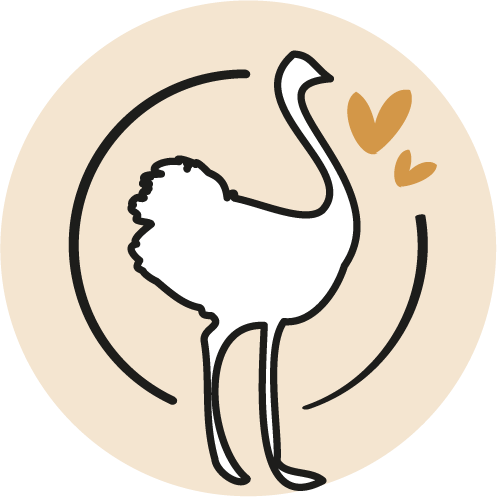 Une production originale à base de viande d’autruche, reconnue pour être maigre et riche en goût, des produits gourmands à découvrir pour une expérience culinaire unique.